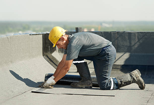 Best Specialized Insulation Services in Dunn Loring, VA