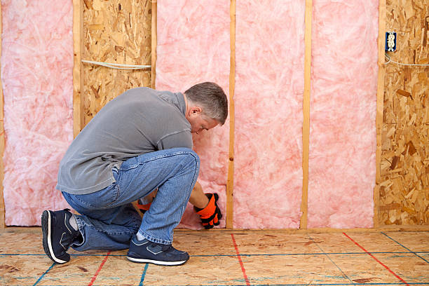 Best Cellulose Insulation in Dunn Loring, VA