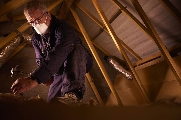 Best Geographic-Specific Insulation Services in Dunn Loring, VA